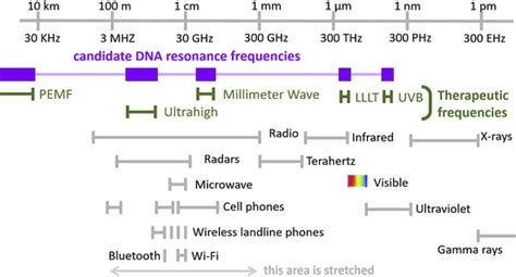 Frequency Ranges Used For Therapy Lllt Low Level Light Therapy Pemf Download Scientific