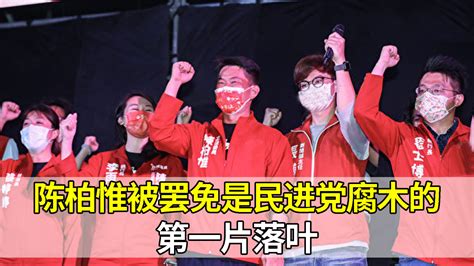 台媒：陈柏惟被罢免是民进党当局腐木的第一片落叶凤凰网视频凤凰网