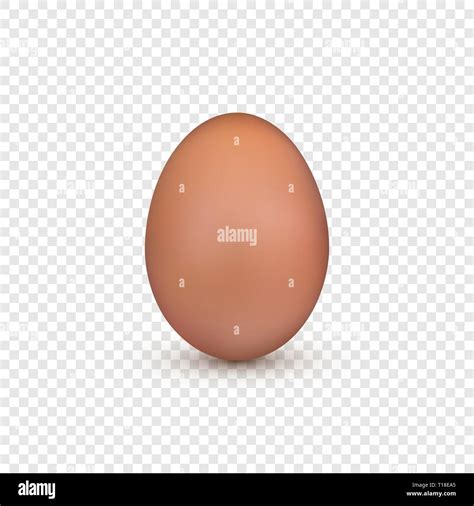 Brown Egg Chicken Egg Easter Symbol Vector Illustration Isolated On