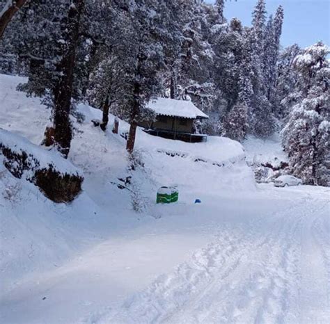 Camps in Chopta | Trekking Camps In Chopta | Camping in Chopta | Woodycamps