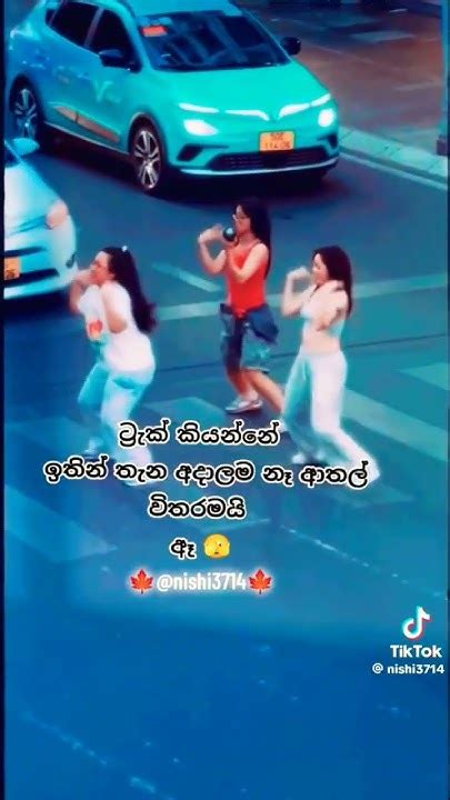 පාර කියලා අදාලම නෑ 👌trending Viral Shortvideo 🥰🥰👌👌👌 Youtube