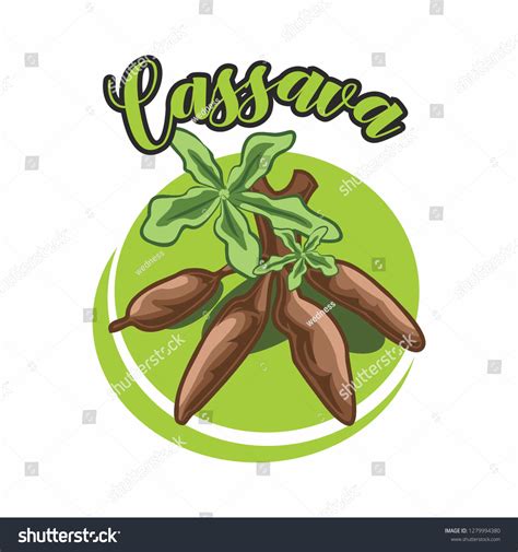 Cassava Vector Logo Illustration เวกเตอร์สต็อก ปลอดค่าลิขสิทธิ์ 1279994380 Shutterstock