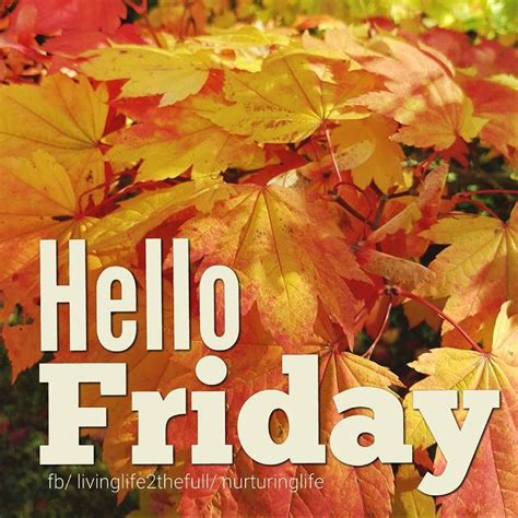 Hello Friday Friday Autumn Fall Leaves Hello Friday Its Friday