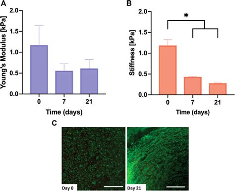 Frontiers Design Of A Novel Bioink Suitable For The 3d Printing Of