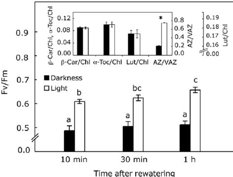 Effects Of Z Synthesis Prior To Desiccation On The Recovery Of F V F