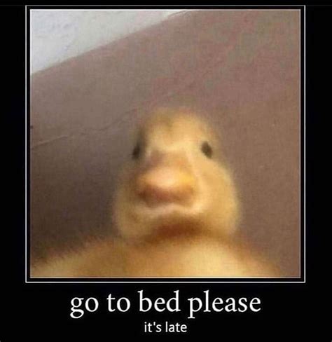 √ Go To Sleep Funny Memes