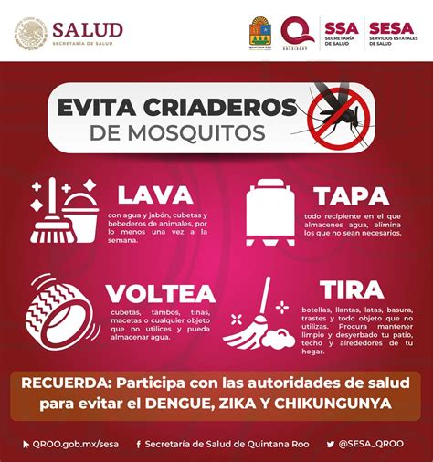 SESA Quintana Roo On Twitter Eliminar Posibles Criaderos De Mosquitos