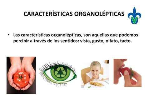 Propiedades organolépticas PPT