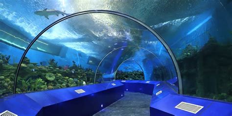 Country largest Aquatic Gallery in Ahmedabad