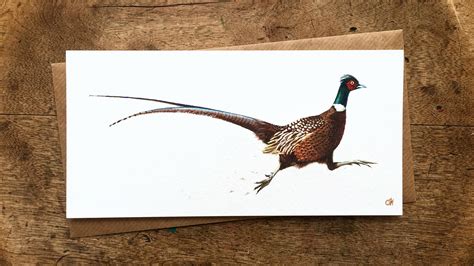 Running Pheasant Greetings Card Pheasant Card Original Pheasant Art Blank Card Pheasant Birthday