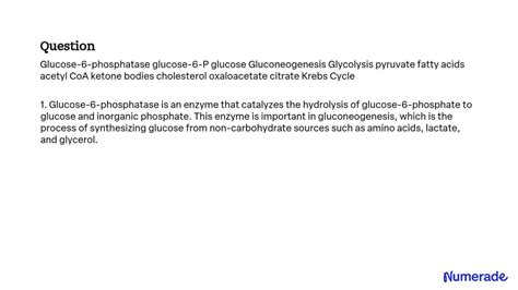 Solved Glucose 6 Phosphatase Glucose 6 P Glucose Gluconeogenesis Glycolysis Pyruvate Fatty