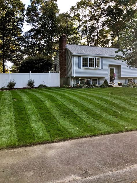 How To Renovate Your Lawn A Complete Step Guide Lawn Phix