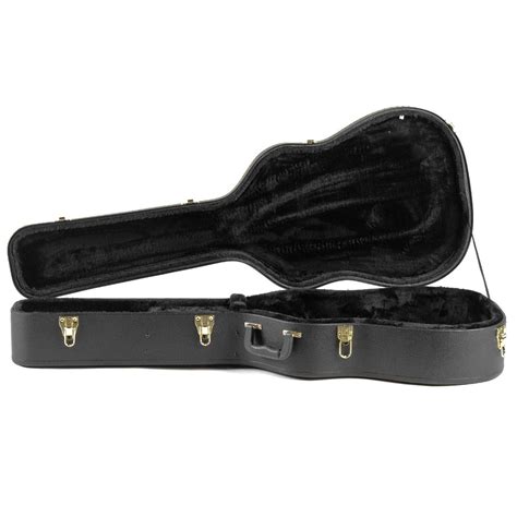 Acoustic Guitar Case