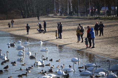 Spacerowicze Wybrali Si Nad Pogori Iii W D Browie G Rniczej Do