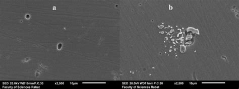 Images of pitting corrosion on the austenitic stainless steel surface ...