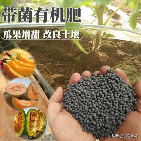 你知道生物肥料嗎？介紹幾種常用生物肥料及使用方法 每日頭條