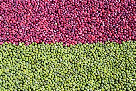 Mixed Red Adzuki Beans And Green Mung Beans Stock Image Image Of