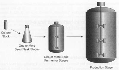 Fermentation technology: The Fermenter -Design and Engineering aspects