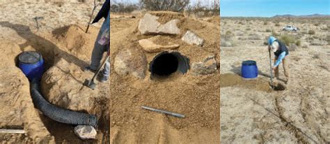 Burrowing owls: Underground surprises in the Mojave Desert - High Desert Warrior - Ft Irwin