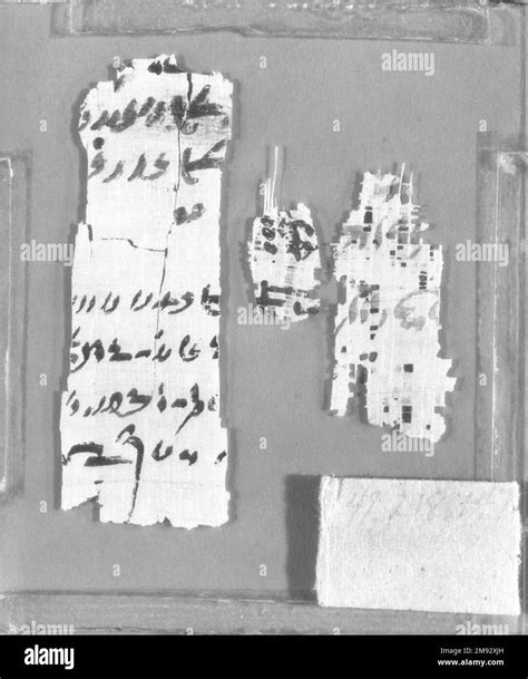 Papyrus Fragments Inscribed in Demotic Demotic. Papyrus Fragments ...