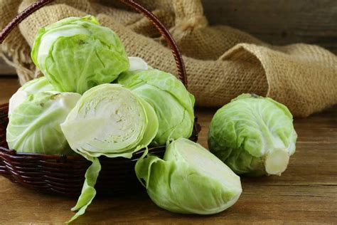 Amazing Health Benefits Of Cabbage Daryeel Magazine