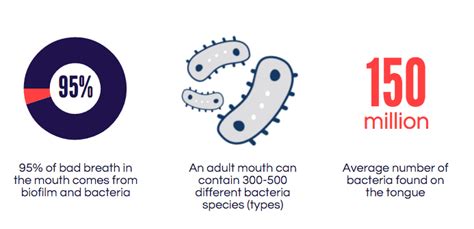 The Bad Breath Triple Threat Bacteria Biofilm And The Tongue