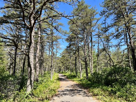 Myles Standish State Forest - North and South Rivers Watershed Association