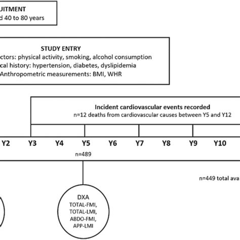 Timeline Of The Study Bmi Body Mass Index Whr Waist To Hip Ratio