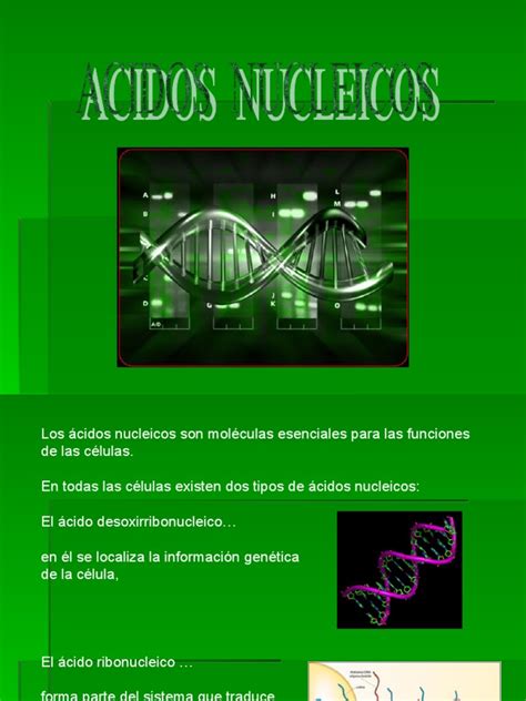 PDF ACIDOS NUCLEICOS Utt DOKUMEN TIPS