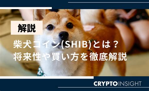 柴犬コインshibshiba Inuとは？買い方や今後の将来性を徹底解説！ Crypto Insight Powered By