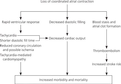 Atrial Fibrillation Diagnosis And Treatment Aafp