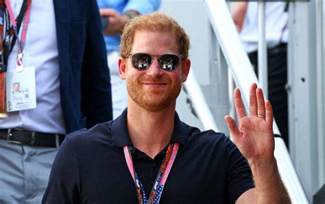 Un Nouveau Job Pour Le Prince Harry Au Service De La Faune Africaine