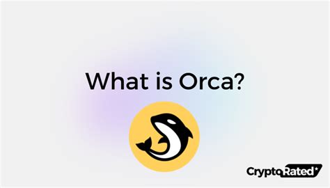 The Complete Guide To Orca A Premier Dex On Solana