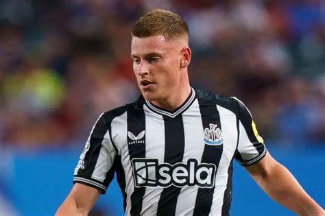 Harvey Barnes Profile