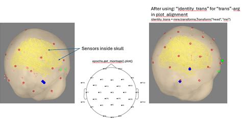 Misaligned Sensor Locations Eeg When Plotting Sensors On Fsaverage