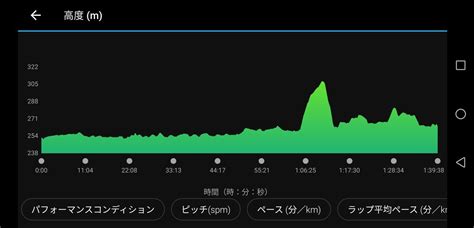 秋田県仙北市で開催された第35回田沢湖マラソンに参加してきました 子持ちししゃもといっしょ