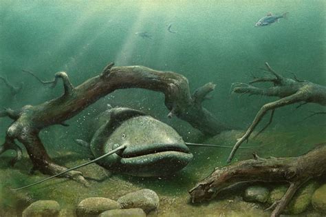 Wels catfish Painting by Artur Lobus | Saatchi Art