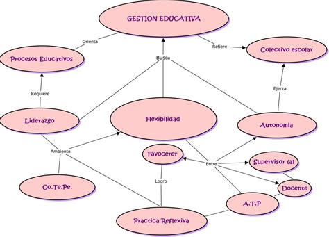 Doy Corona Organizador Grafico Sobre El Municipio Escolar Brainly Lat