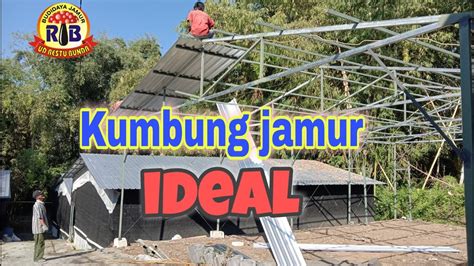 Kumbung Jamur Yang Ideal YouTube