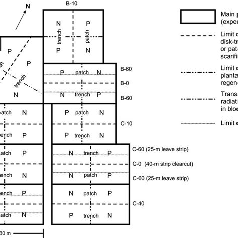 Layout of the split–split-split plot experimental design. Each... | Download Scientific Diagram