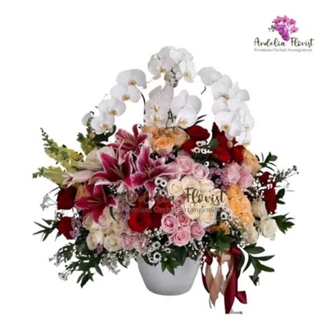 Bunga Anggrek Archives Toko Bunga Anggrek Jakarta Florist Buket