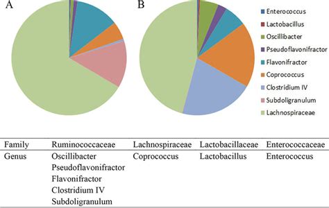 Gut Microbiota Composition Taxonomy Summary And Microbial Diversity Of Download Scientific