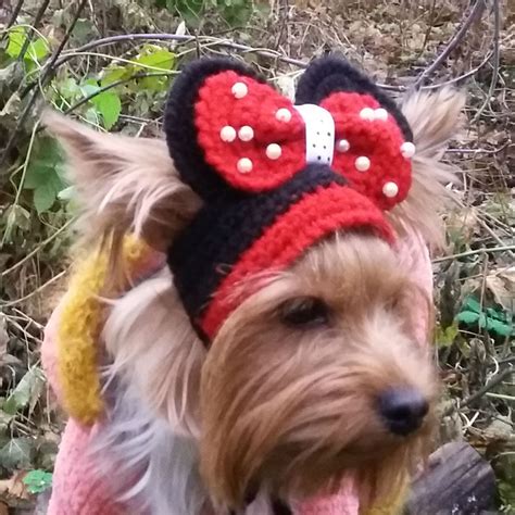 Small Dog hat hats for dogs puppy hat knit dog hats pet hat | Etsy