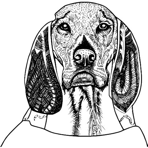 Redbone Coonhound Digital Graphic · Creative Fabrica