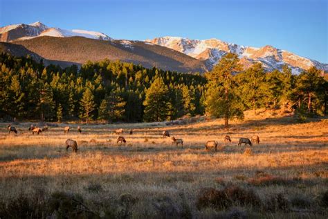 Best Small Towns in Colorado