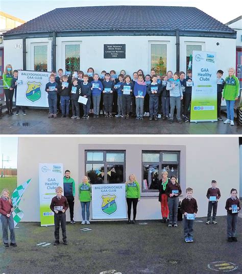 Ballydonoghue Gaa Christmas Card Initiative The Advertiser