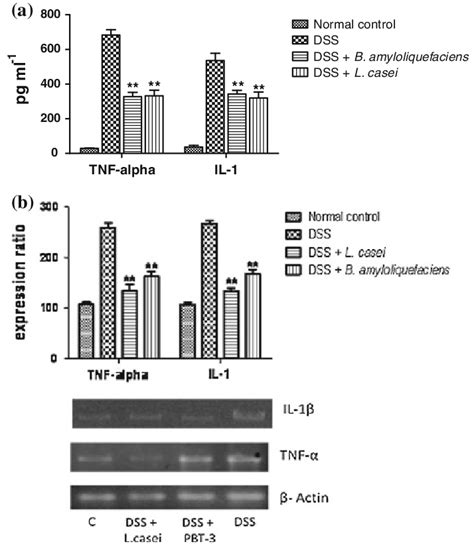 A Effect Of B Amyloliquefaciens On Tnf A And Il B Levels Of Colon