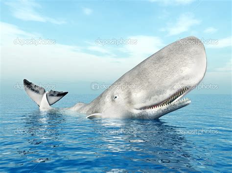 Foto Da Baleia Cachalote - Baleia cachalote — Fotografias de Stock © mic1805 #47301173