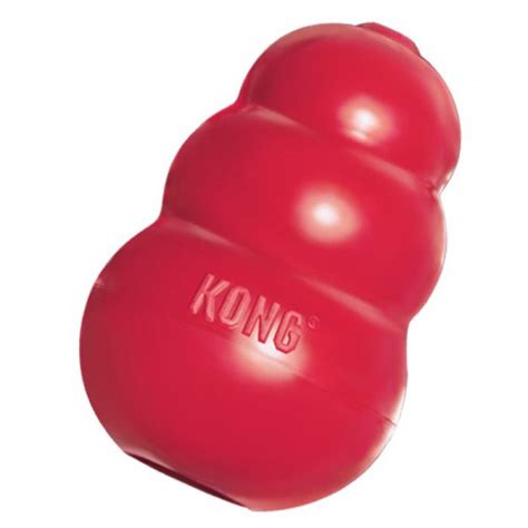 Kong Classic Chew Toy