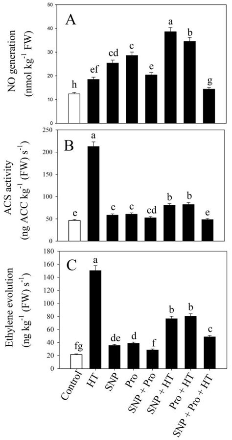 Plants Free Full Text Nitric Oxide And Proline Modulate Redox Homeostasis And Photosynthetic